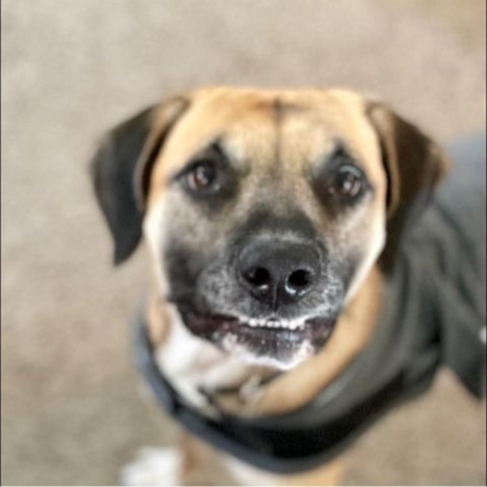 Meet your Posher, Moe
